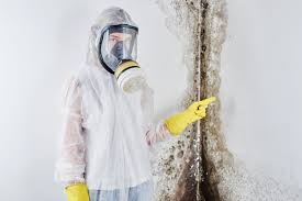 Mold Removal for HVAC Installations in Good Hope, CA